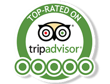 Globe Yacht Charter On TripAdvisor Top Rated