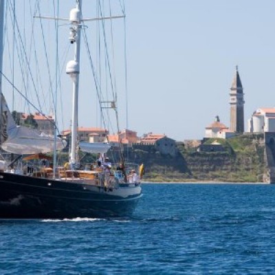 Galatea 13a