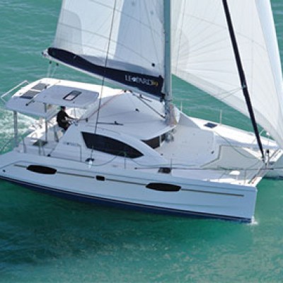 Leopard-39–(1b)